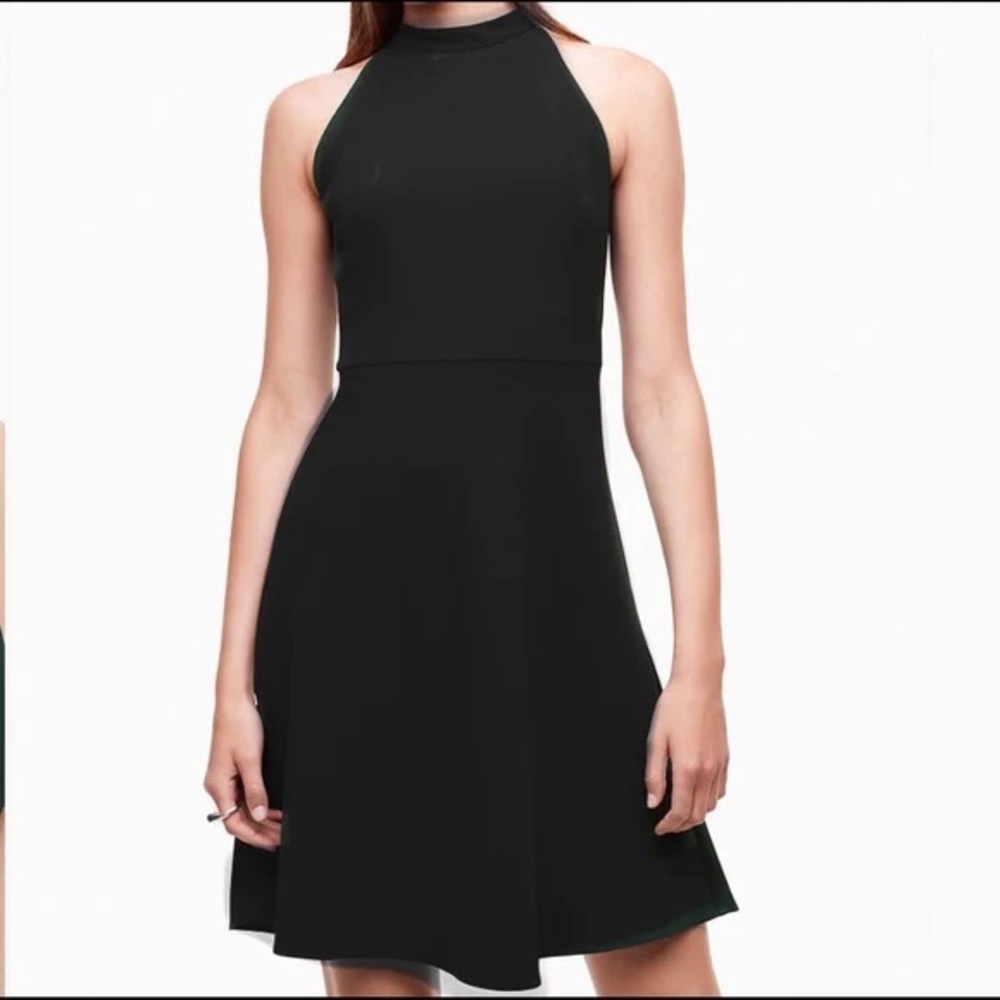 Aritzia Babaton Petros Black Skater Mini Dress